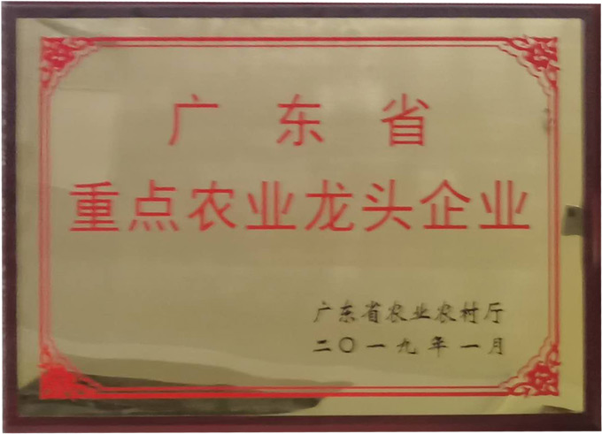 廣東省重點農業(yè)龍頭企業(yè)